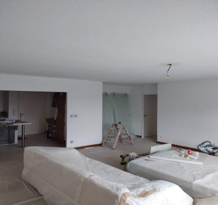 Peinture salle de séjour Toulouse