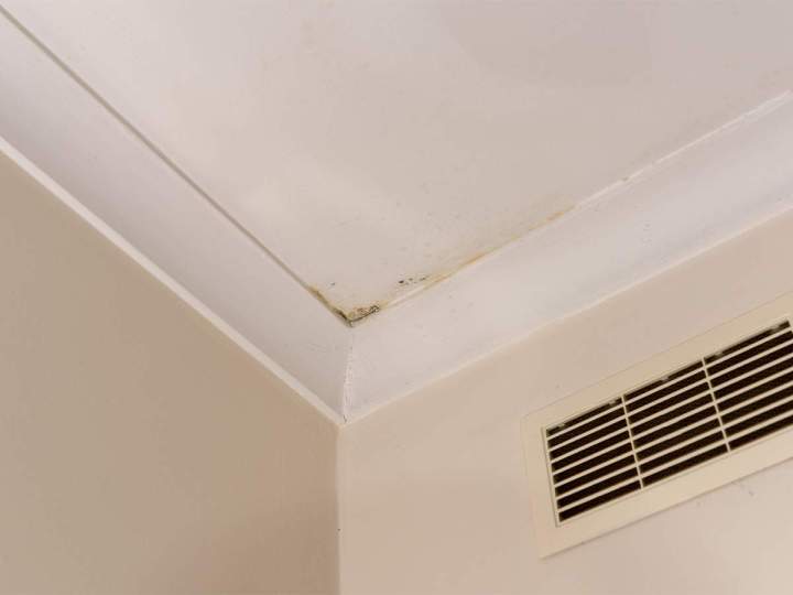 Remise en état par la peinture après sinistre.